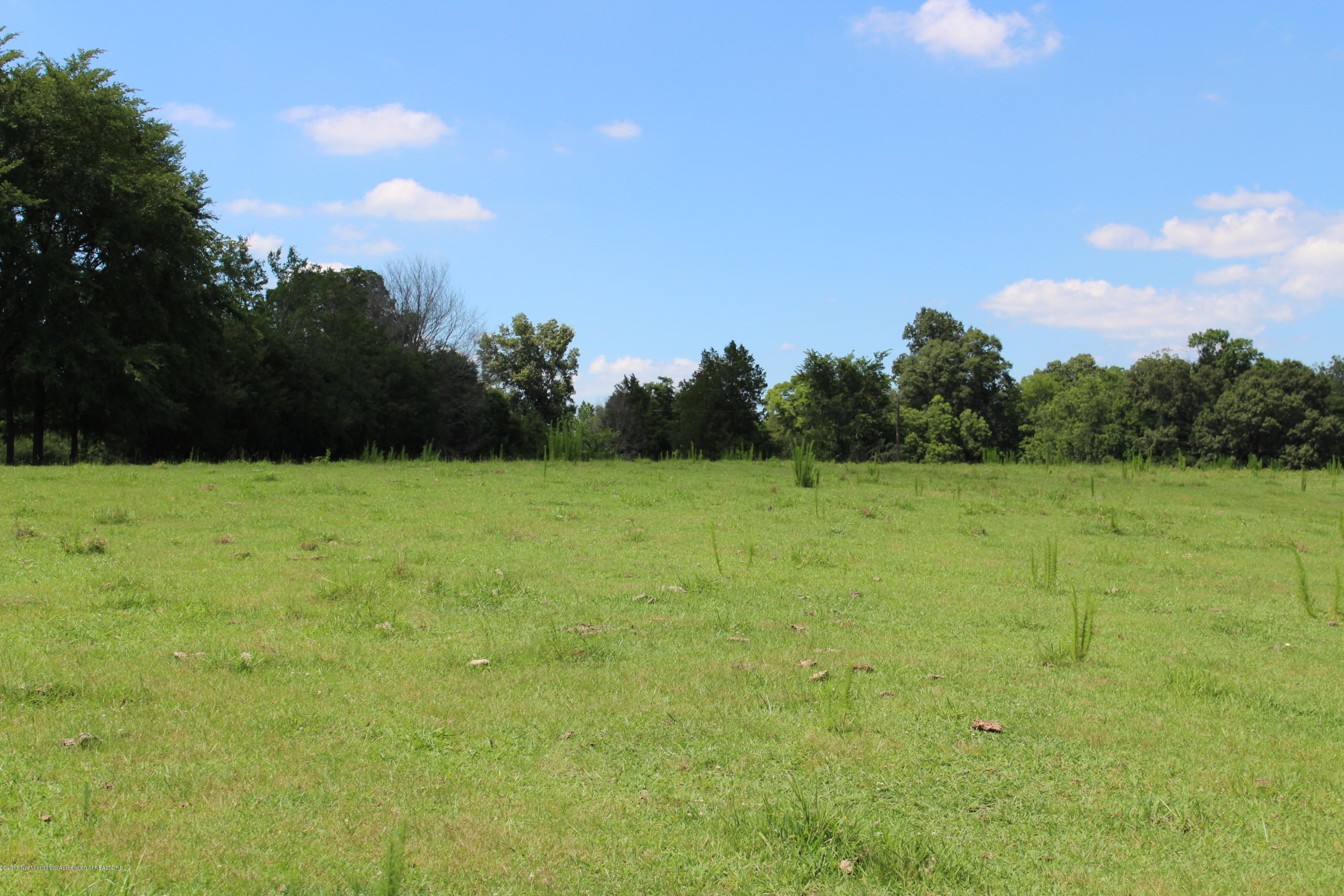 874 Craft Road South Hernando, MS 38632 - Photo 3 of 6 lot 4 and 5 2