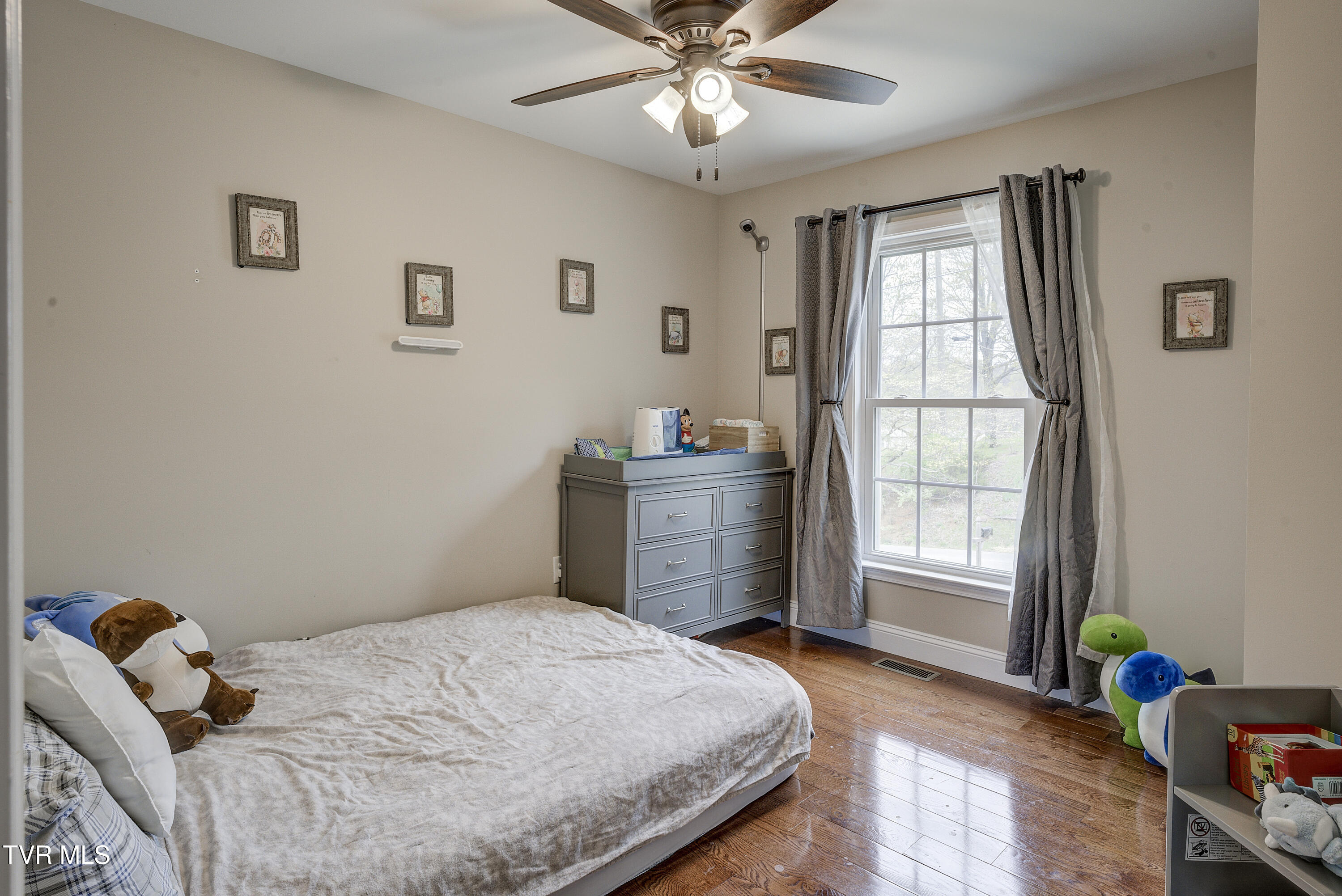 90 Carr Lane Fall Branch, TN 37656 - Photo 25 of 42 NorthCarr-18