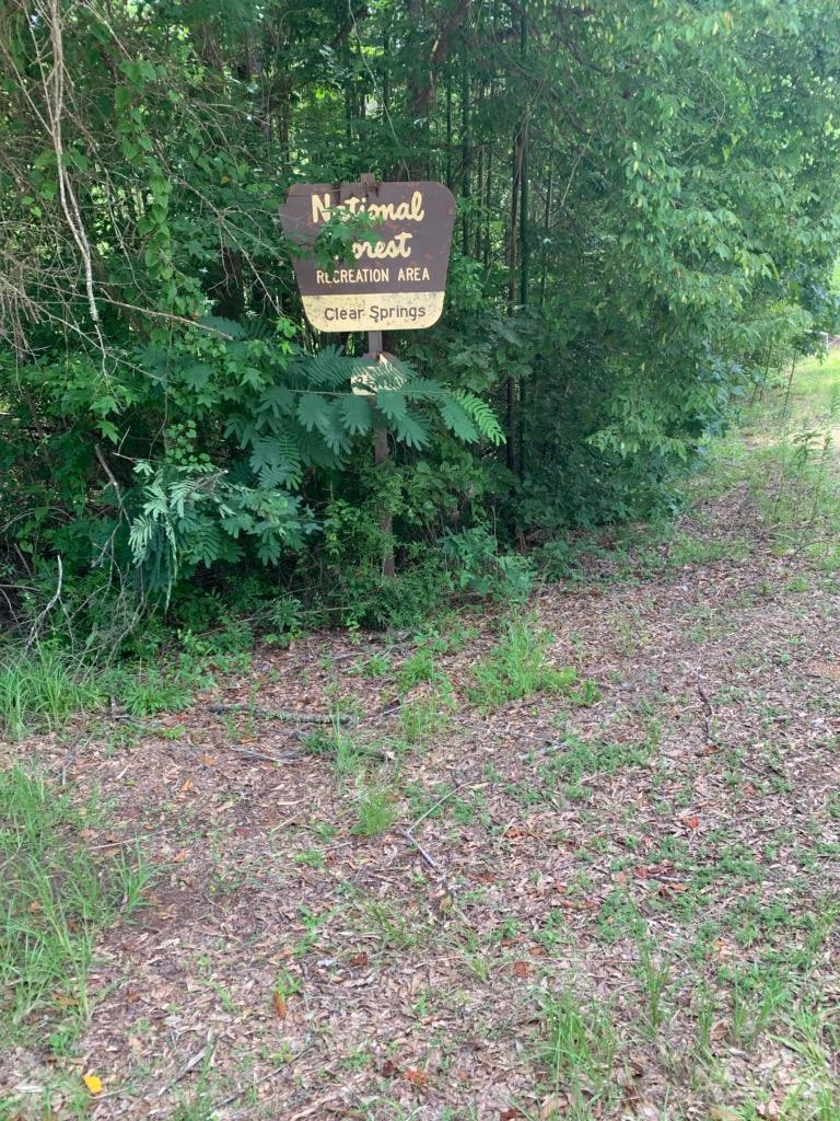 0 Clear Spring Road Meadville, MS 39653 - Photo 1 of 1 Main View