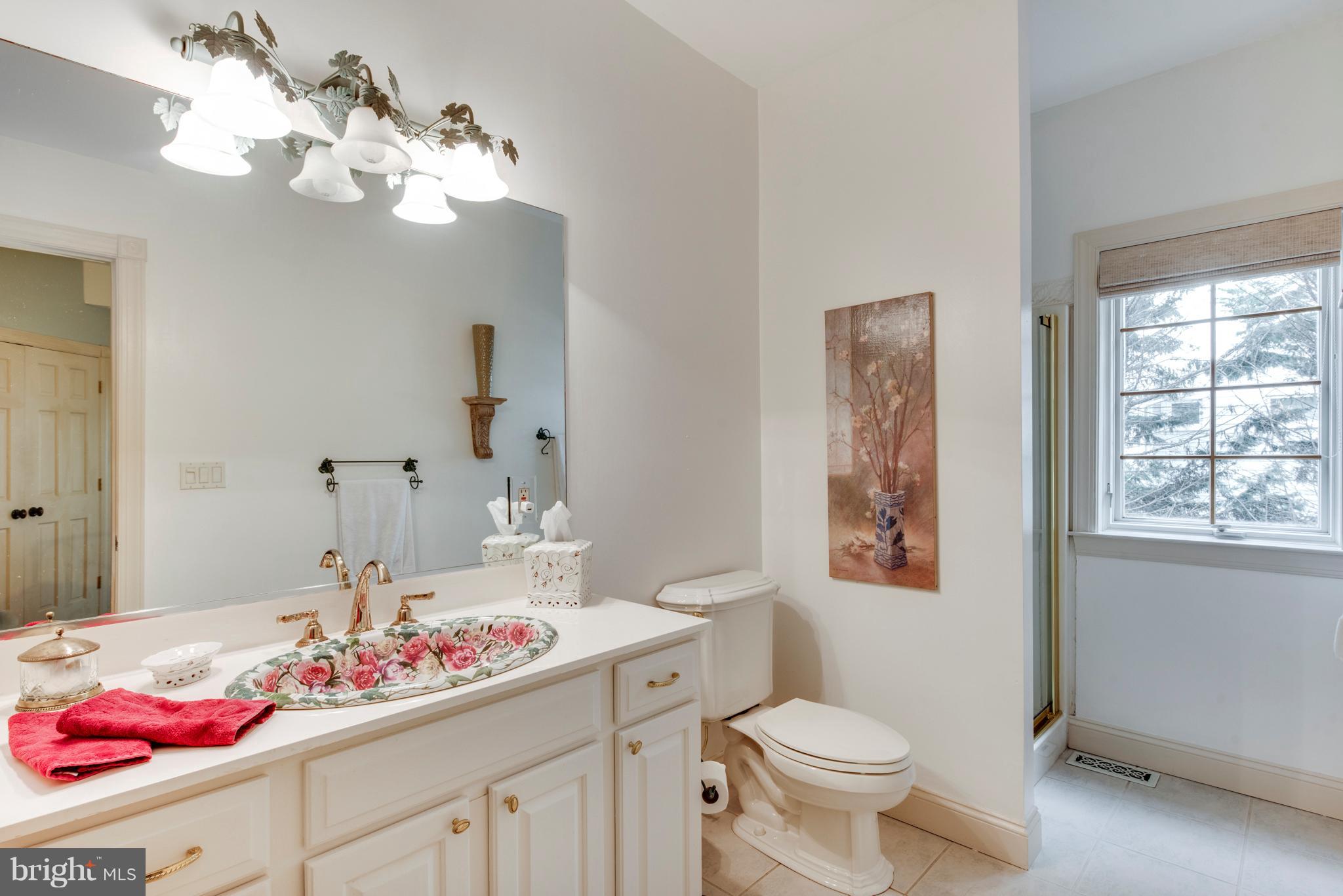 1795 Beachfield Road Annapolis, MD 21409 - Photo 28 of 49 a bathroom with a sink vanity mirror and toilet