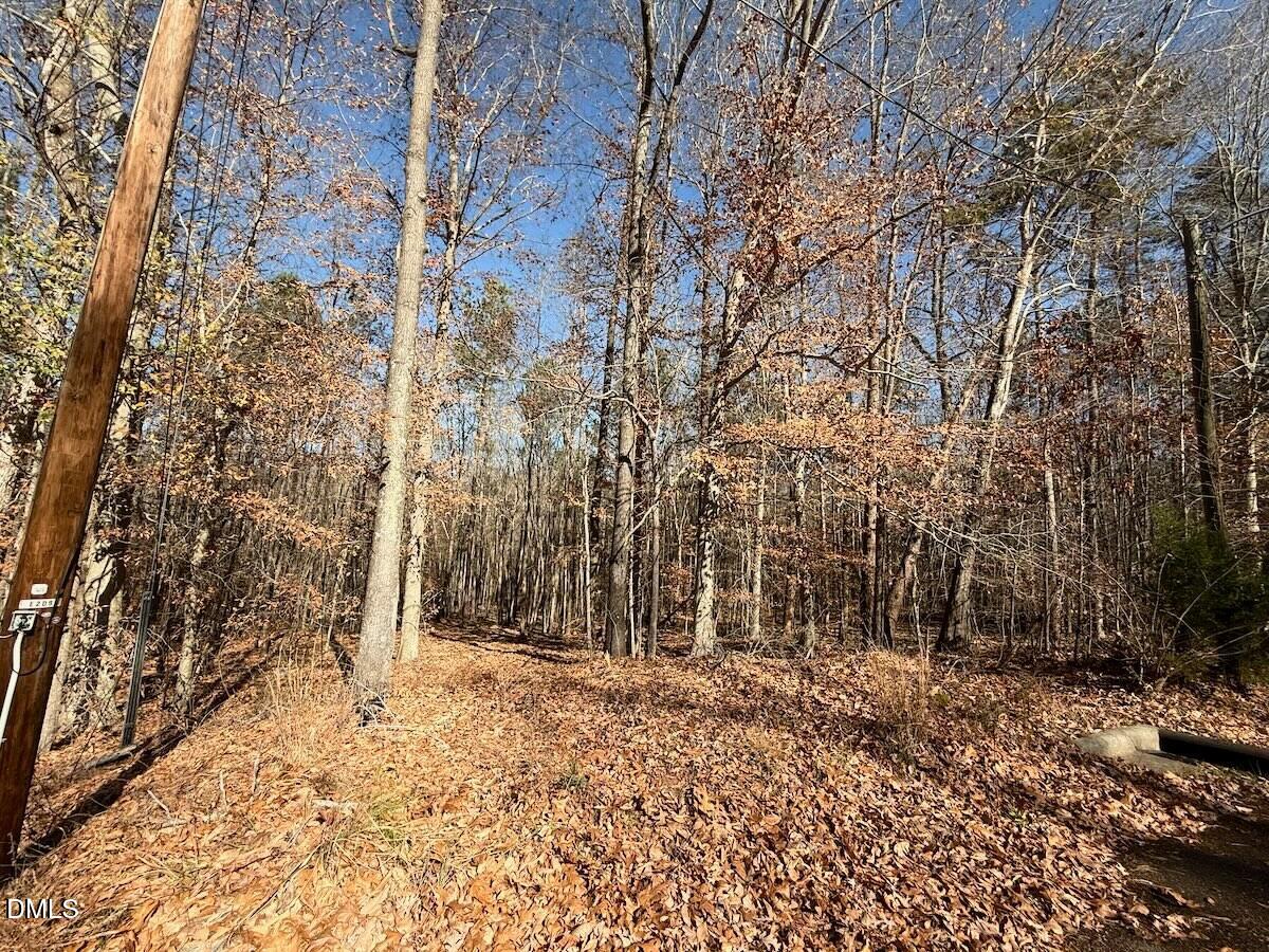 0 Stone Drive Roxboro, NC 27573 - Photo 39 of 96 26