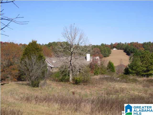 772 Highway 13 Helena Al Helena, AL 35080 - Photo 7 of 8