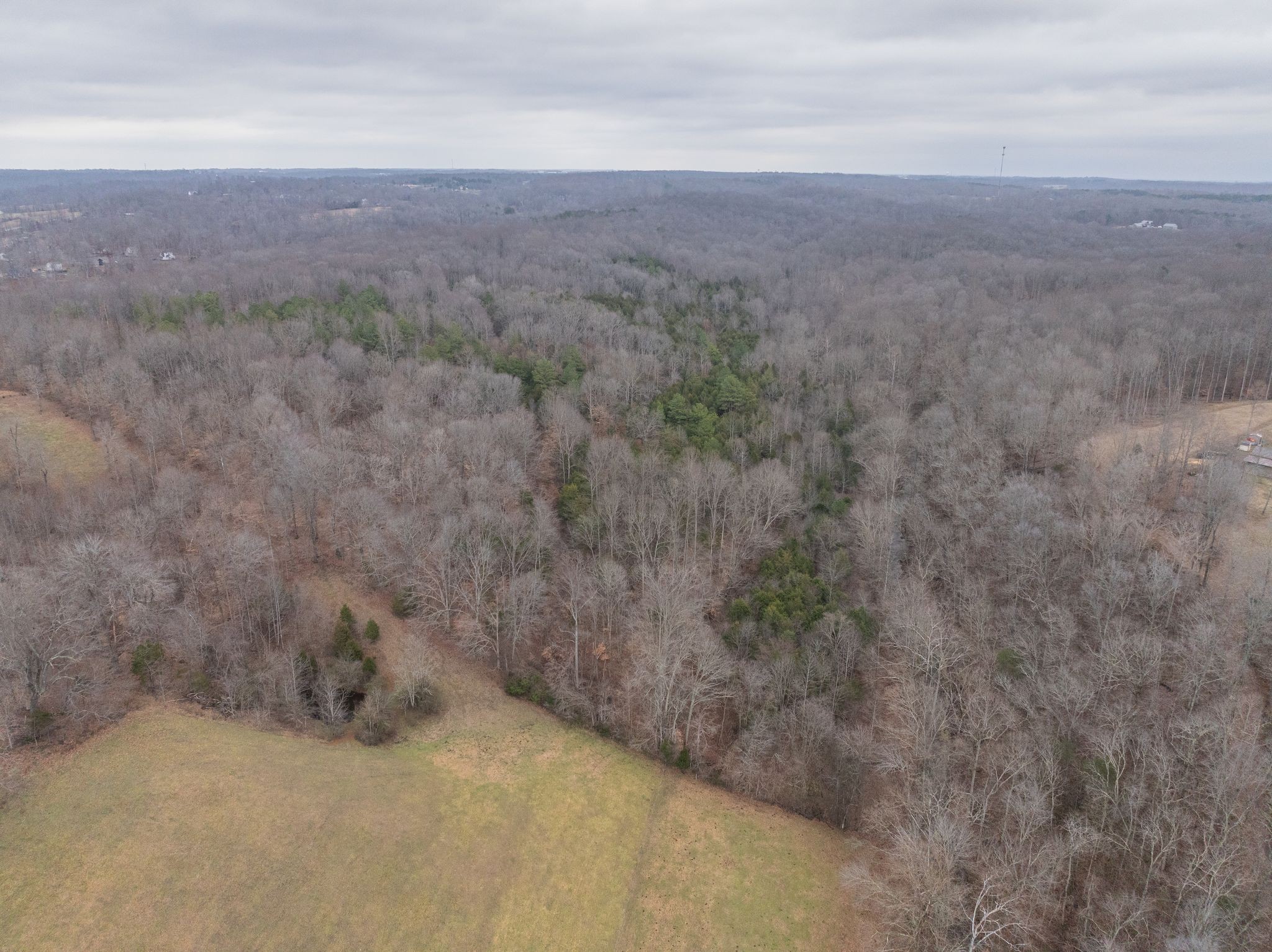 0 Wiley Branch Road Dickson, TN 37055 - Photo 3 of 27