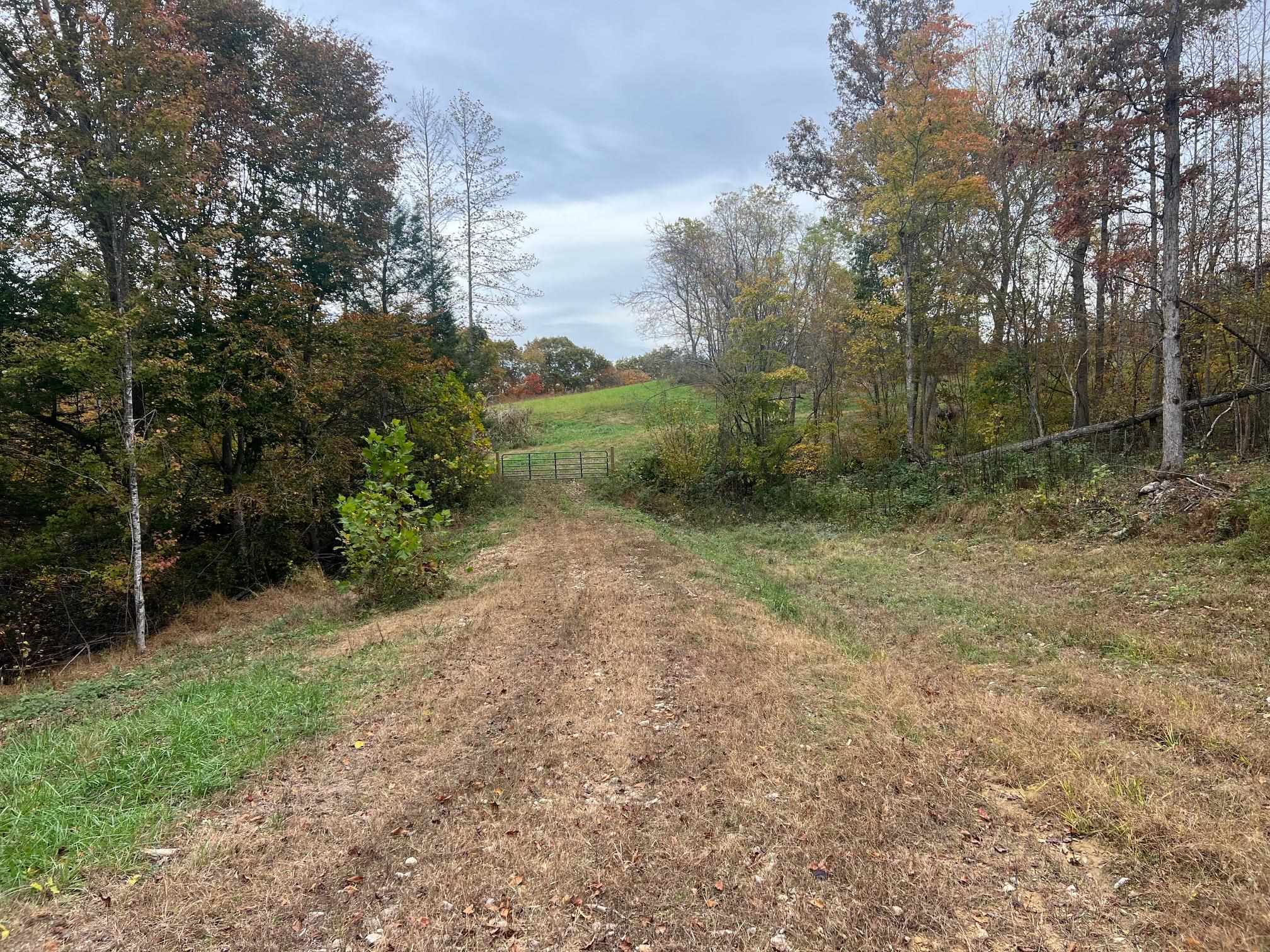 1195 Big Stone Road Sandy Hook, KY 41171 - Photo 11 of 12