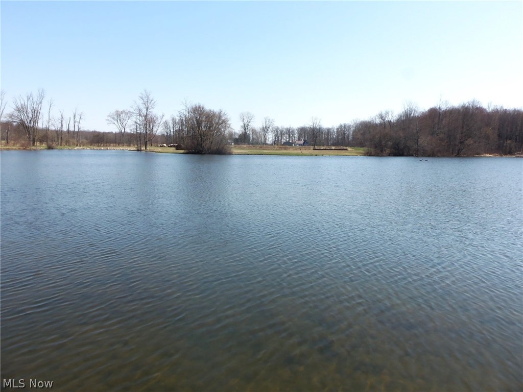16881 Peters Road Middlefield, OH 44062 - Photo 5 of 31