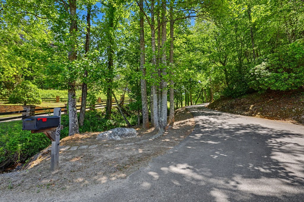 1193 Pine Log Road Warne, NC 28909 - Photo 63 of 75