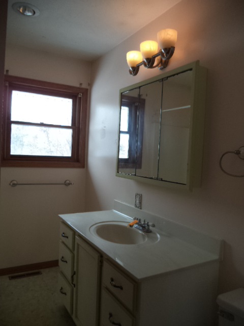 17529 Burr Oak Road Capron, IL 61012 - Photo 9 of 21 a bathroom with a sink vanity and a mirror