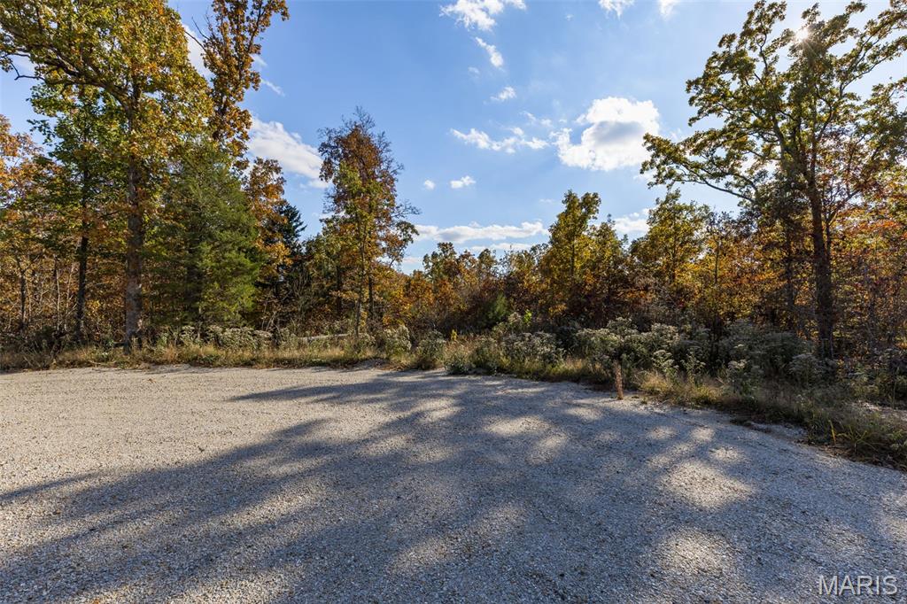 Lot 5 Thunder Ridge Road Richwoods, MO 63071 - Photo 5 of 5