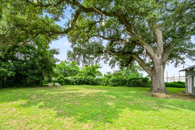 a view of lush green field