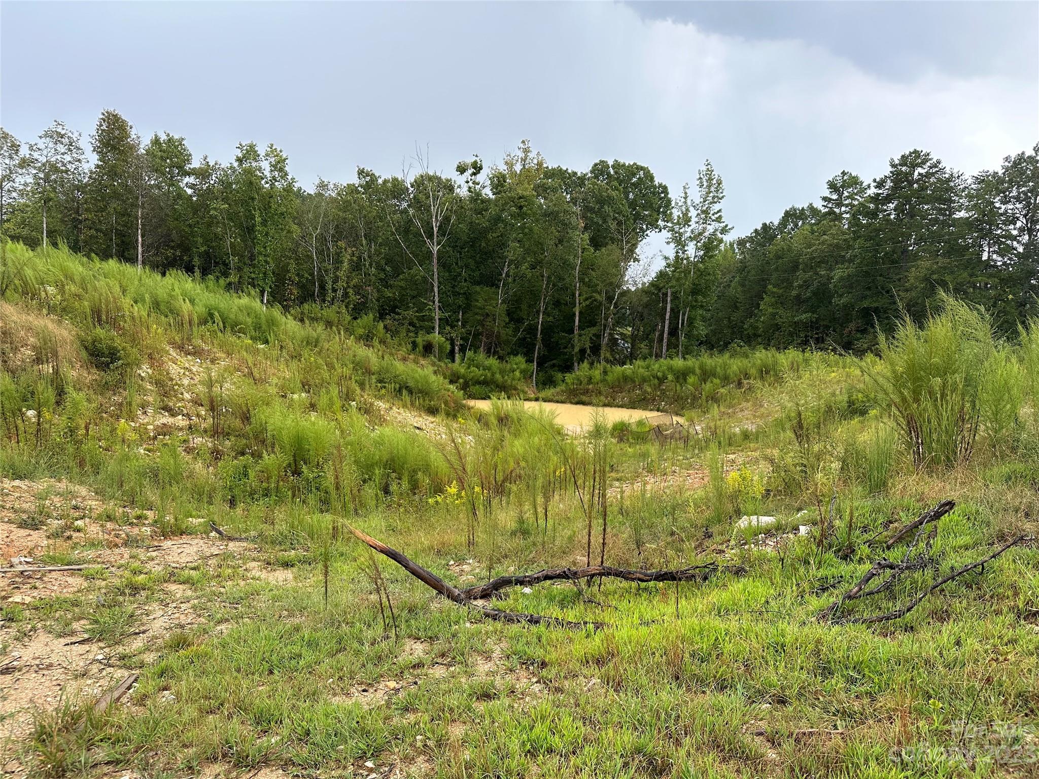 2153 Orchard Road Smyrna, SC 29743 - Photo 1 of 11 a view of a garden