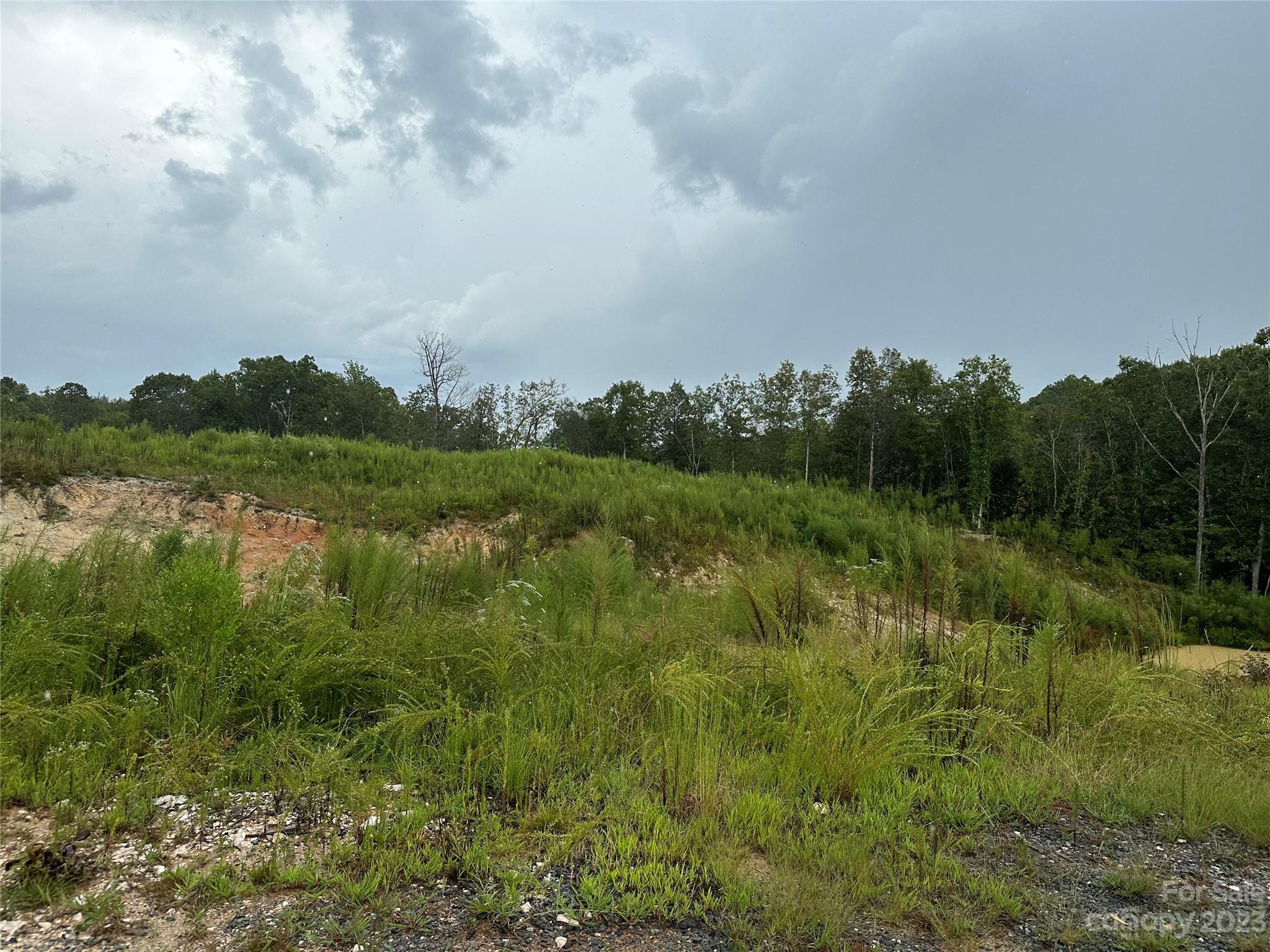 2153 Orchard Road Smyrna, SC 29743 - Photo 8 of 11 a view of a lake and green valley
