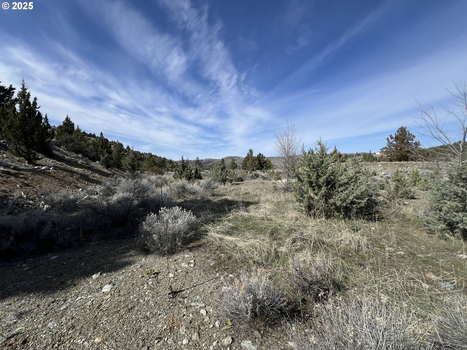 0 Blue Gulch Road John Day, OR 97845 - Photo 14 of 20 a view of a dry yard with trees and bushes