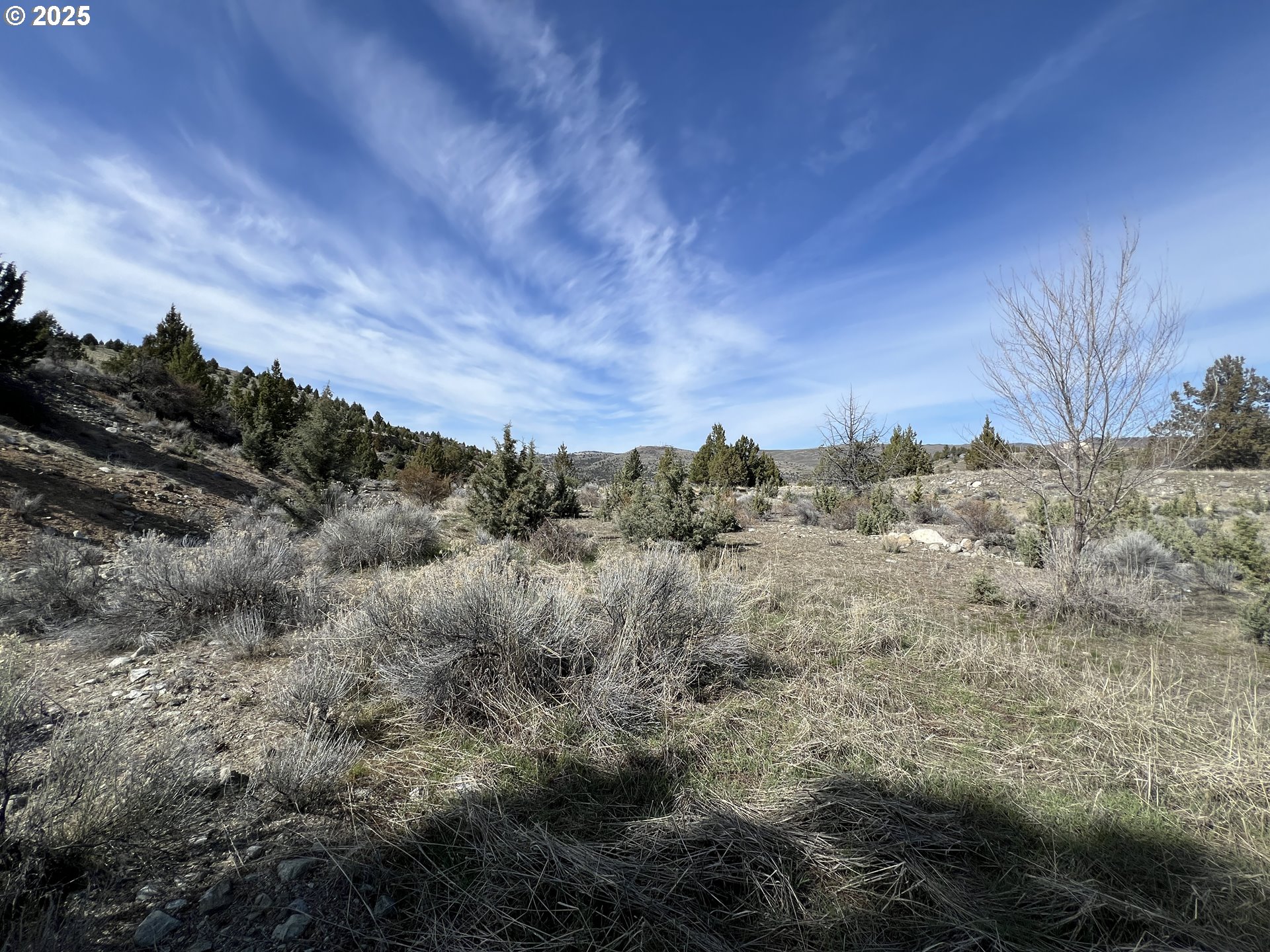 0 Blue Gulch Road John Day, OR 97845 - Photo 15 of 20 a view of a city with lush green forest