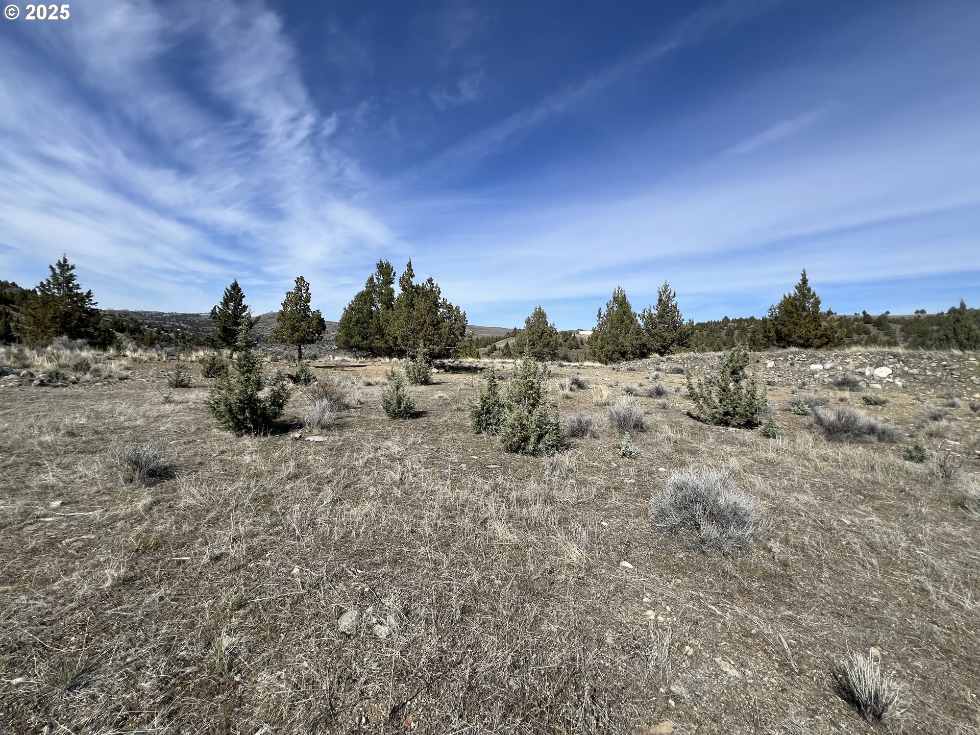 0 Blue Gulch Road John Day, OR 97845 - Photo 16 of 20 a view of a dry yard with trees