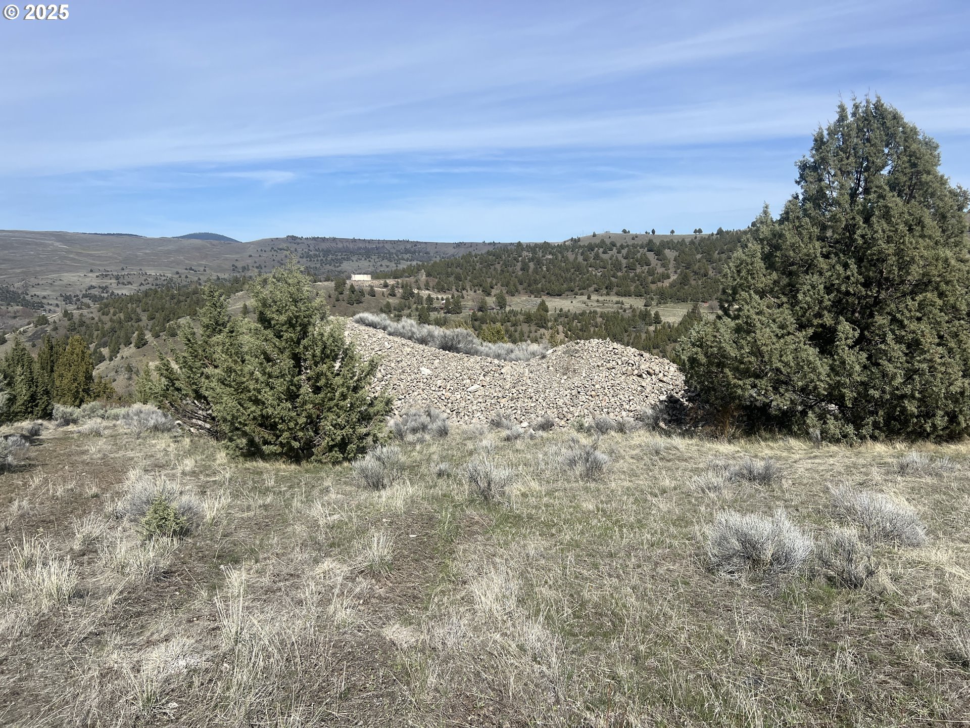 0 Blue Gulch Road John Day, OR 97845 - Photo 4 of 20 a view of a dry yard with trees