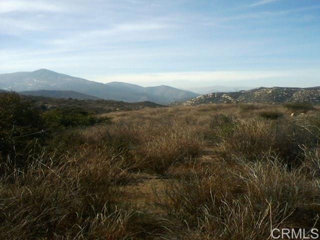 0 Highway 94 Tecate, CA 91980 - Photo 2 of 4 a view of a city with lush green forest