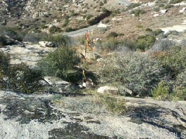 0 Highway 94 Tecate, CA 91980 - Photo 4 of 4 a view of a forest with trees