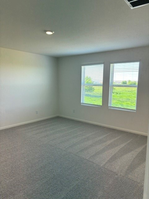 702 Gemsbok Road Hutto, TX 78634 - Photo 8 of 9