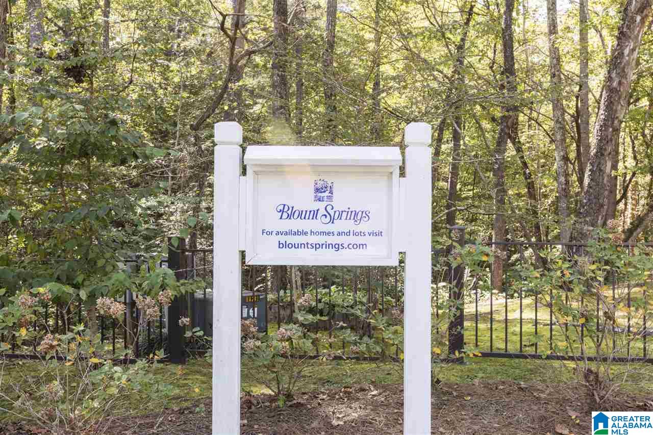 4 South Hollow Road, Unit 4 Hayden, AL 35079 - Photo 13 of 34