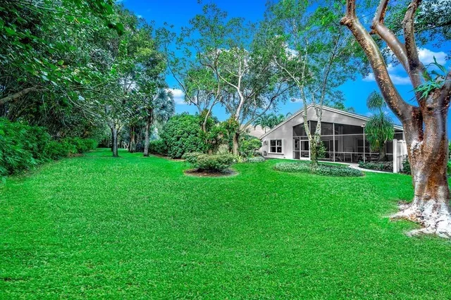 a backyard of a house with plants and large tree