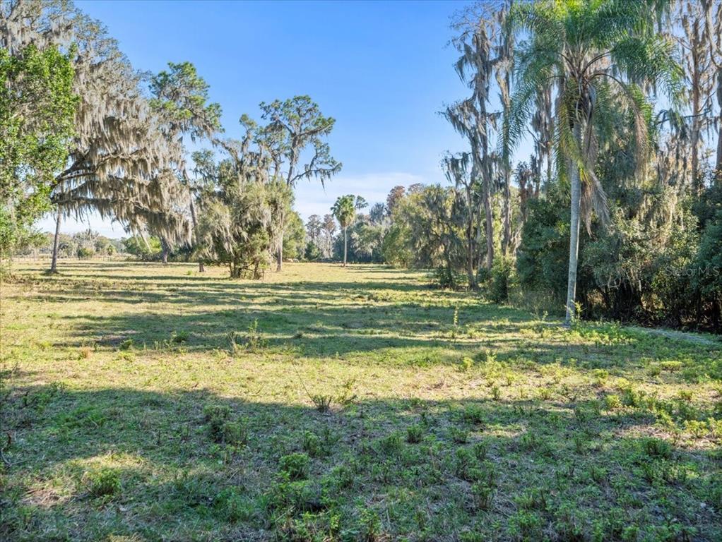Boy Scout Road Odessa, FL 33556 - Photo 11 of 18 a view of a swimming pool and a yard