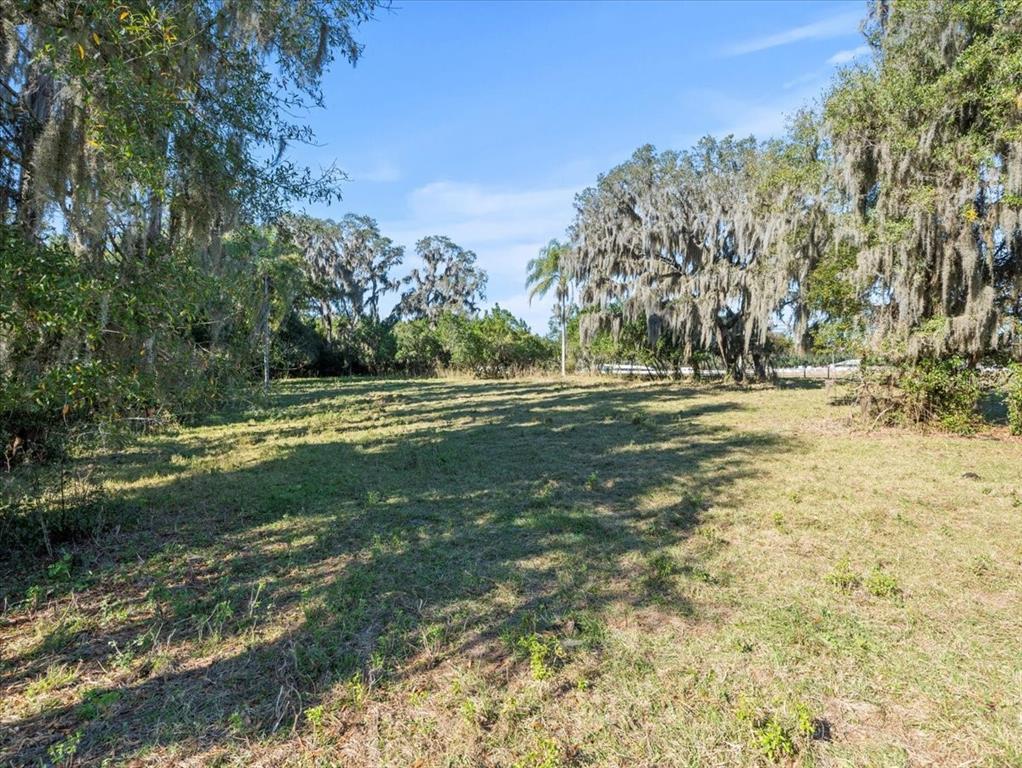 Boy Scout Road Odessa, FL 33556 - Photo 12 of 18 a view of a field with trees