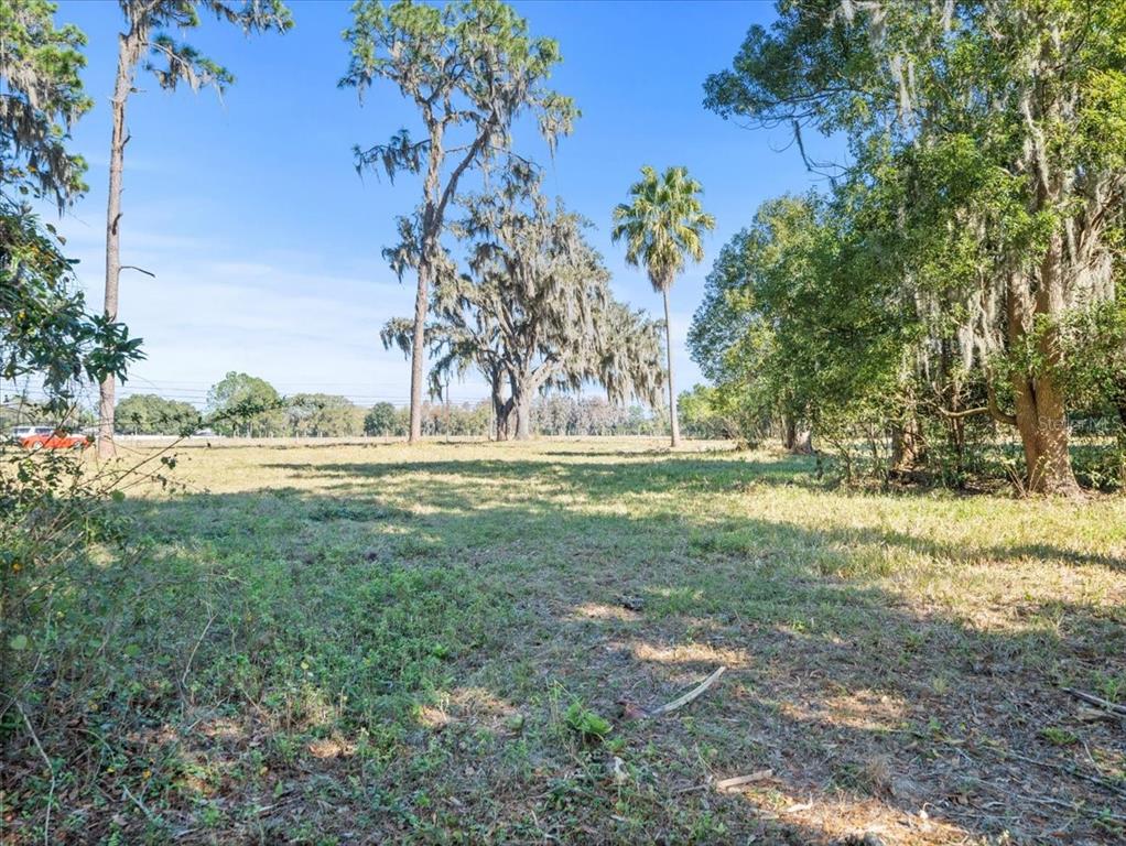 Boy Scout Road Odessa, FL 33556 - Photo 13 of 18 a view of yard with green space