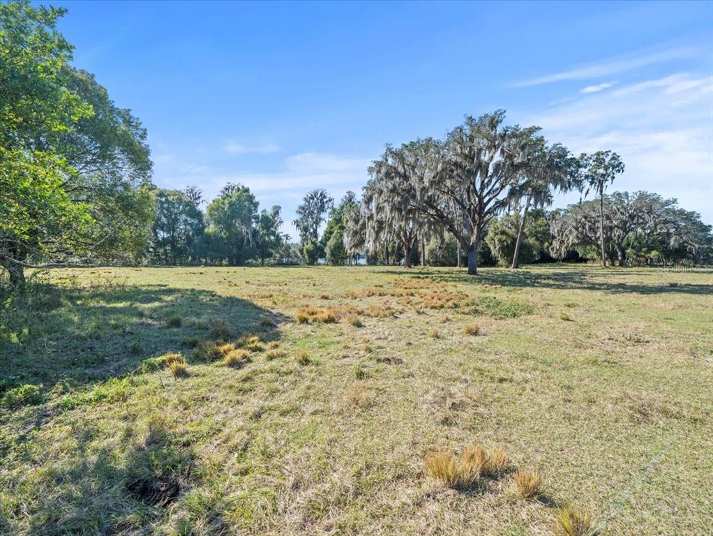 Boy Scout Road Odessa, FL 33556 - Photo 14 of 18 a view of a green field with trees in the background