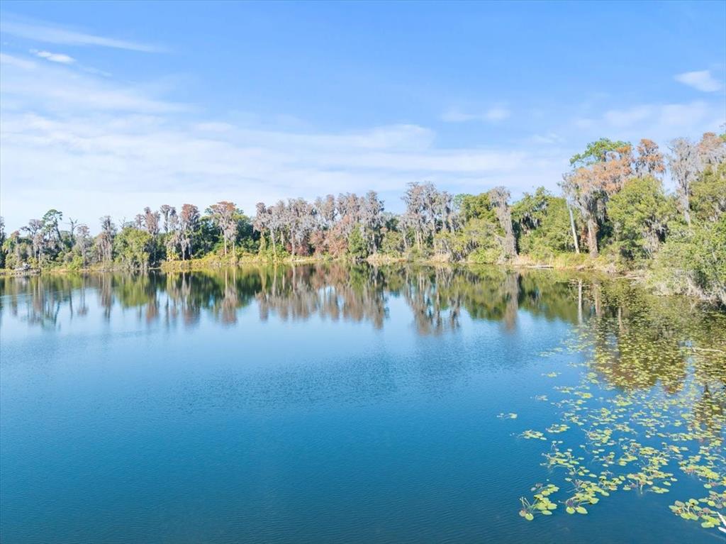 Boy Scout Road Odessa, FL 33556 - Photo 16 of 18 a view of lake