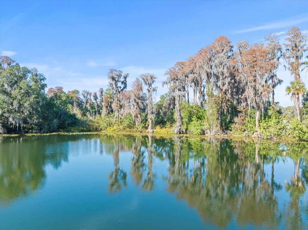 Boy Scout Road Odessa, FL 33556 - Photo 17 of 18 a view of a large body of water with a building in the background
