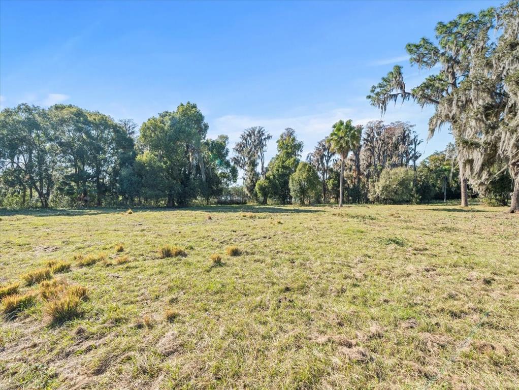 Boy Scout Road Odessa, FL 33556 - Photo 2 of 18 a view of outdoor space with swimming pool and trees in the background