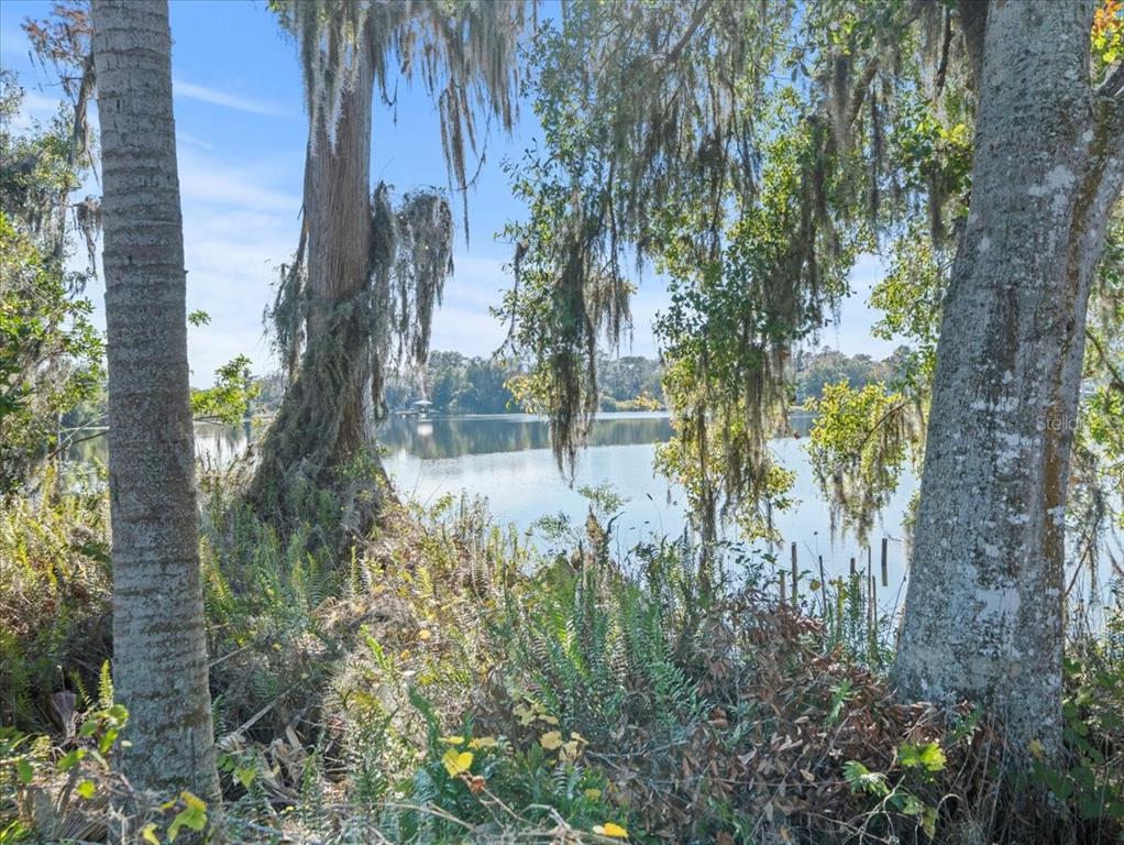 Boy Scout Road Odessa, FL 33556 - Photo 3 of 18 a view of yard