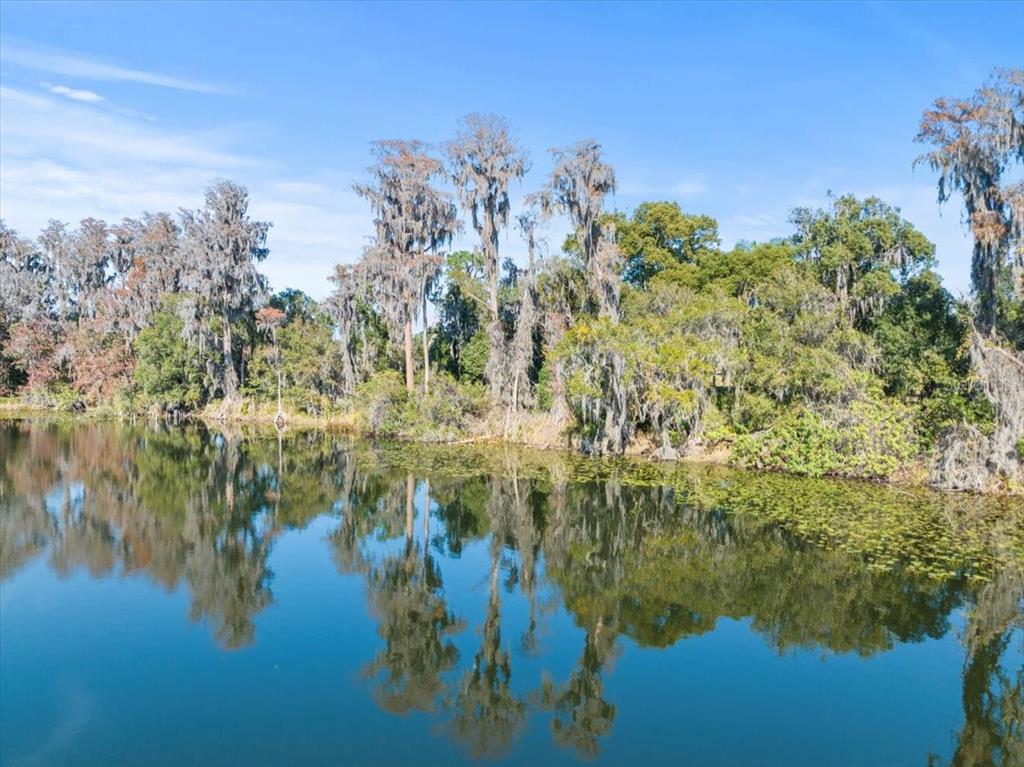 Boy Scout Road Odessa, FL 33556 - Photo 4 of 18 a view of lake with green space