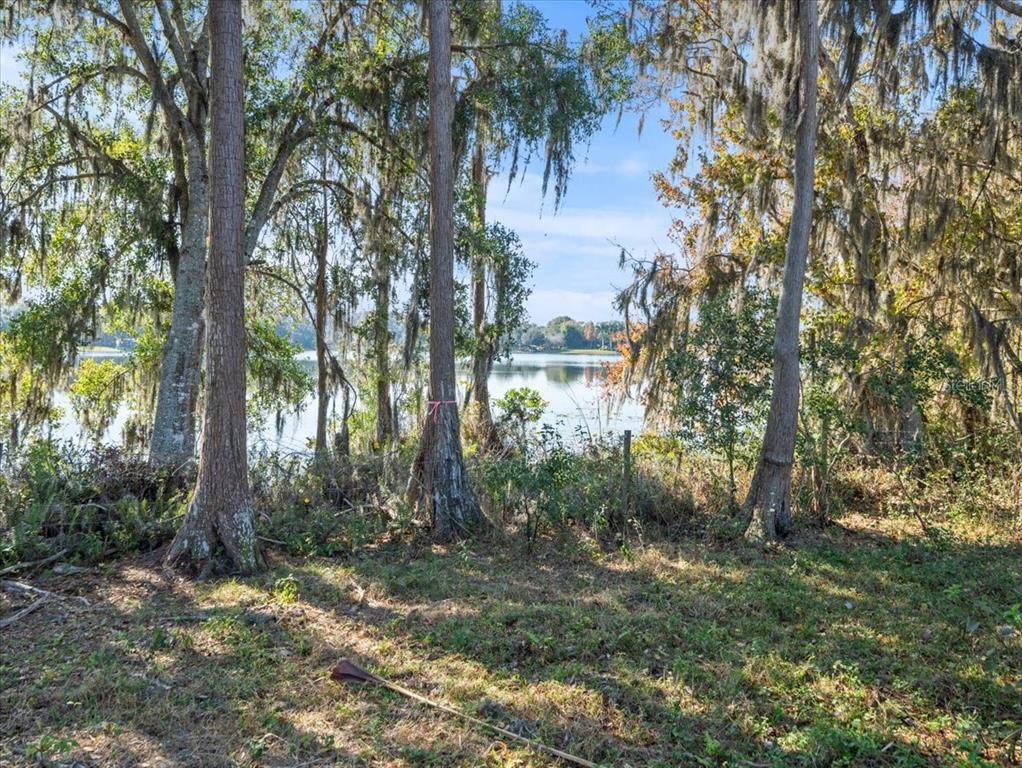 Boy Scout Road Odessa, FL 33556 - Photo 5 of 18 a backyard of a house with lots of green space