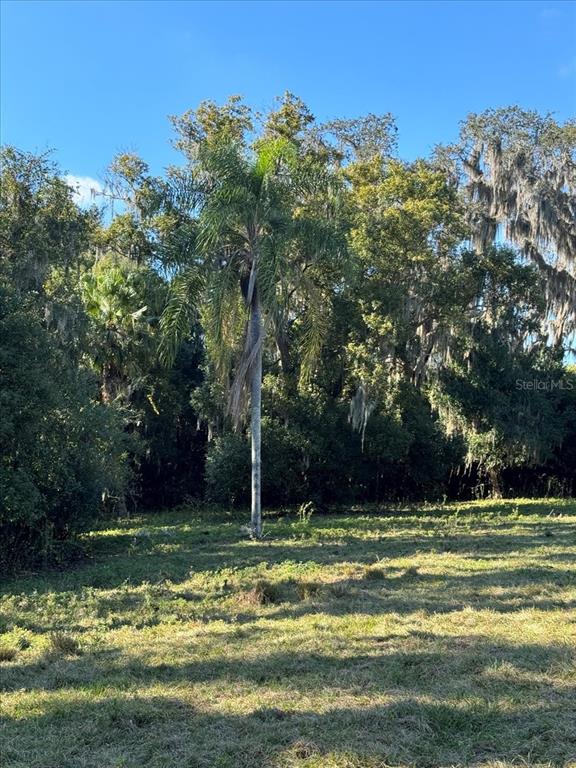 Boy Scout Road Odessa, FL 33556 - Photo 7 of 18 a view of a swimming pool with a yard