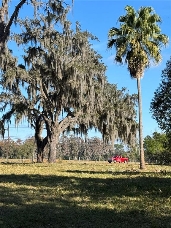 Boy Scout Road Odessa, FL 33556 - Photo 8 of 18 a view of a water with large trees