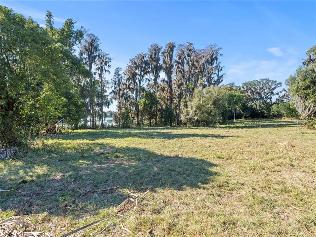 Boy Scout Road Odessa, FL 33556 - Photo 10 of 18 a view of outdoor space with swimming pool and green space