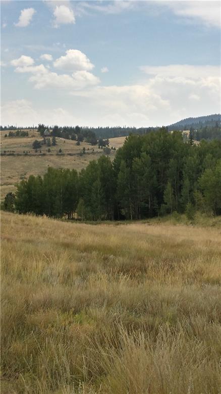 380 Arland Road Como, CO 80432 - Photo 11 of 11 Gallery Image 11