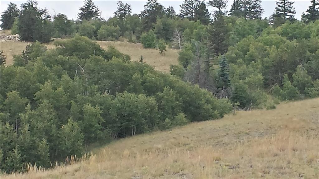 380 Arland Road Como, CO 80432 - Photo 5 of 11 Gallery Image 5