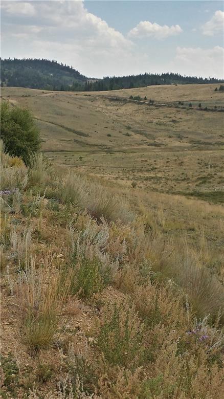 380 Arland Road Como, CO 80432 - Photo 8 of 11 Gallery Image 8