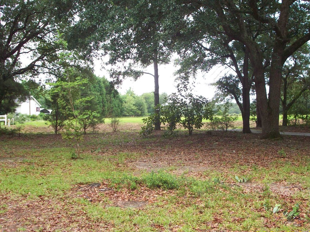 3905 Ardis Pond Road Dalzell, SC 29040 - Photo 30 of 34 Gallery Image 30