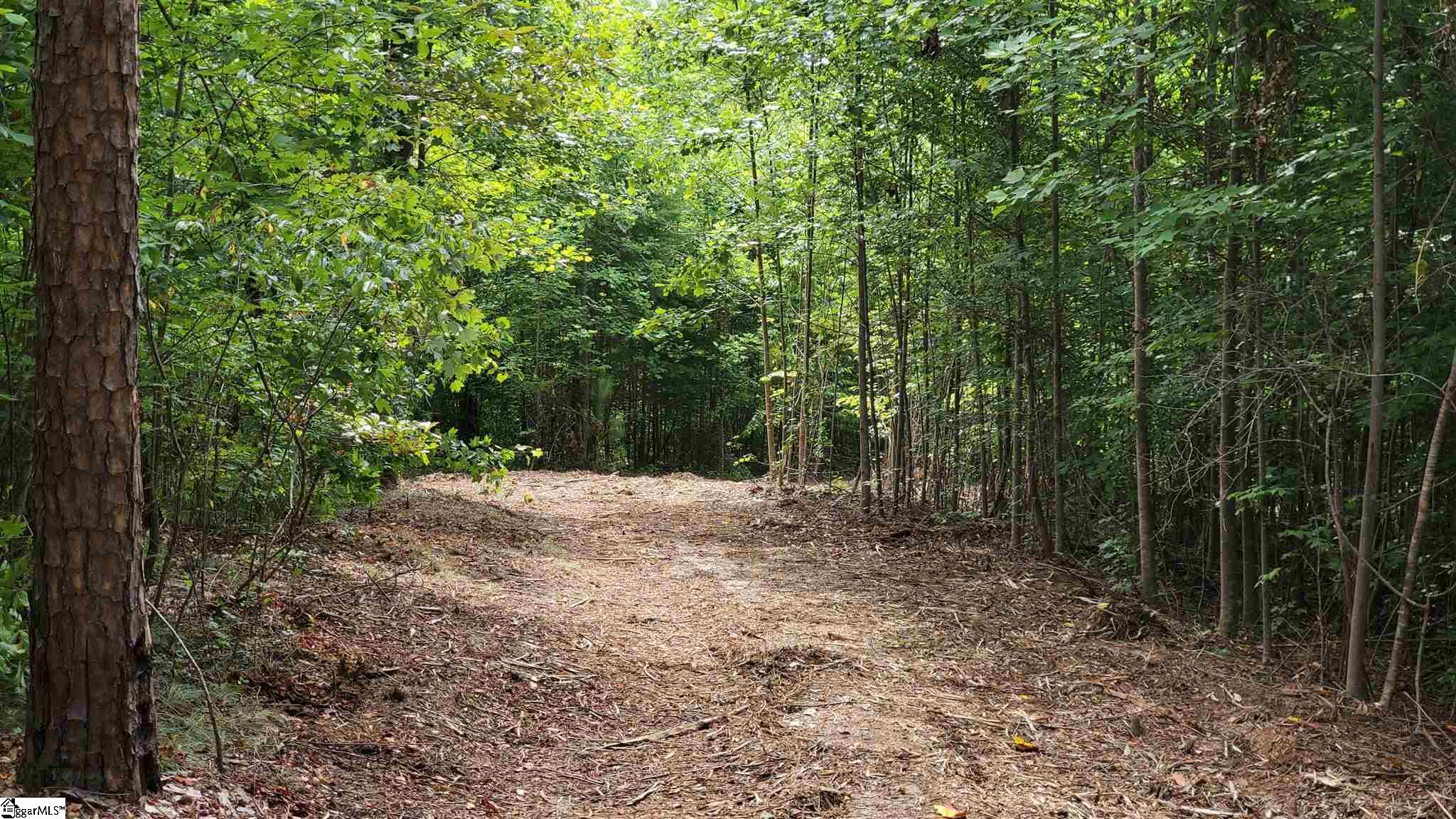 Old Chapman Bridge Road Salem, SC 29676 - Photo 5 of 12 Gallery Image 5