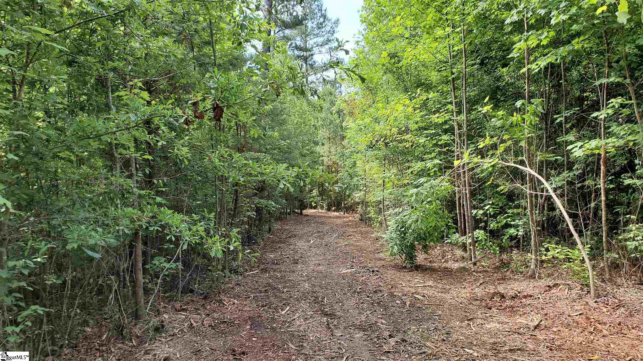 Old Chapman Bridge Road Salem, SC 29676 - Photo 6 of 12 Gallery Image 6