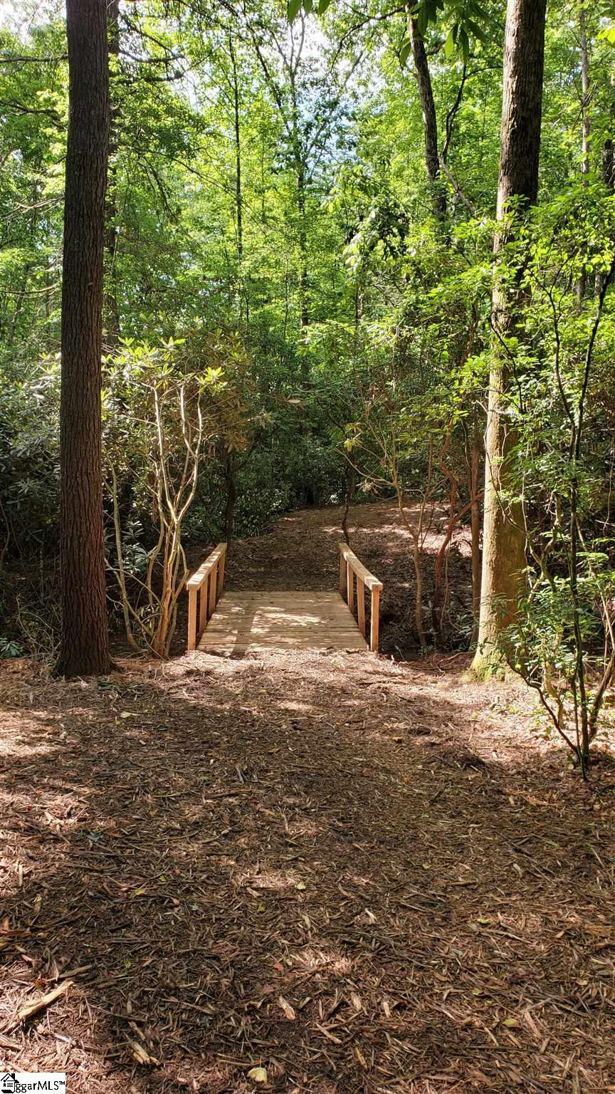 Old Chapman Bridge Road Salem, SC 29676 - Photo 7 of 12 Gallery Image 7
