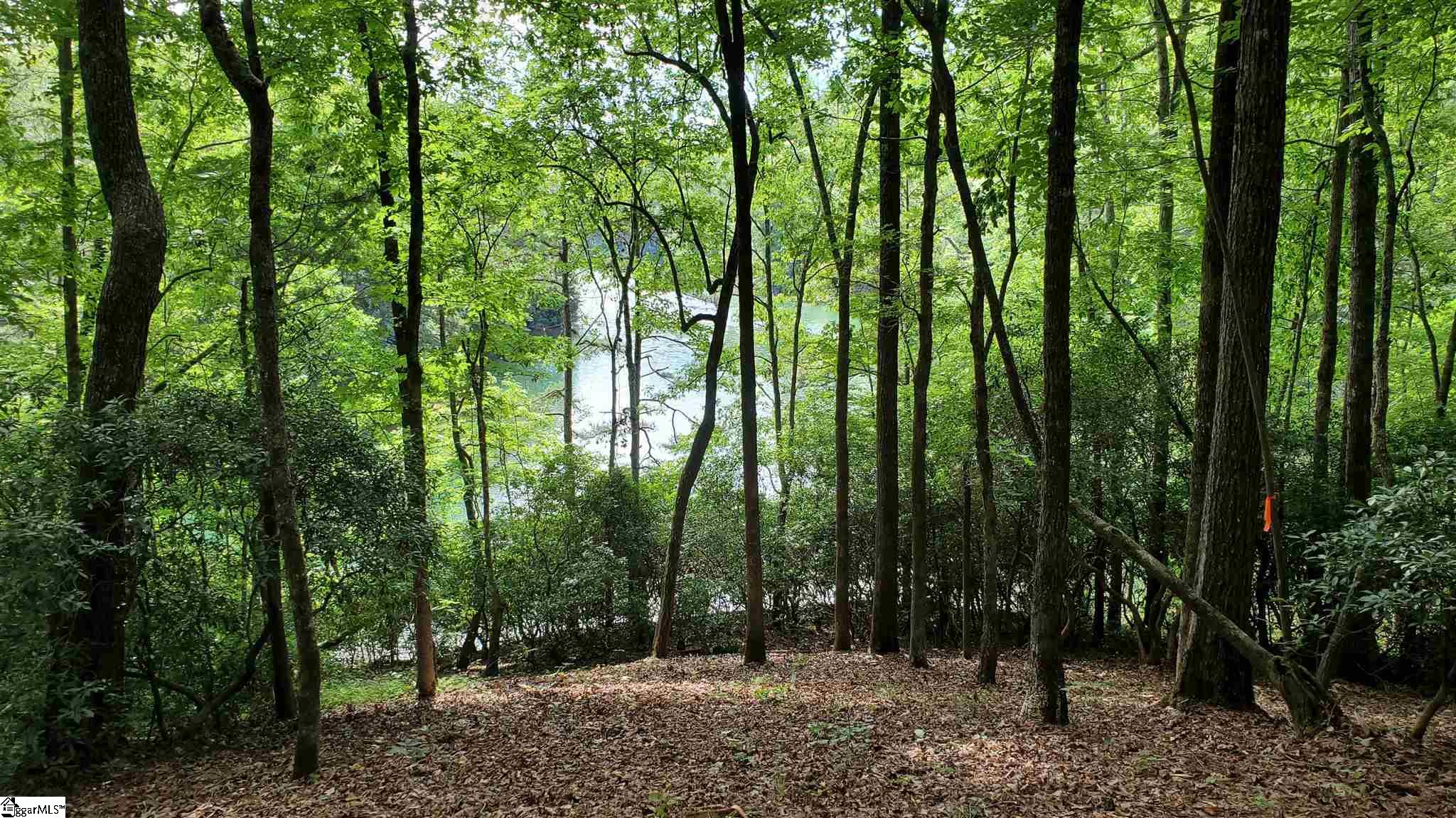 Old Chapman Bridge Road Salem, SC 29676 - Photo 9 of 12 Gallery Image 9