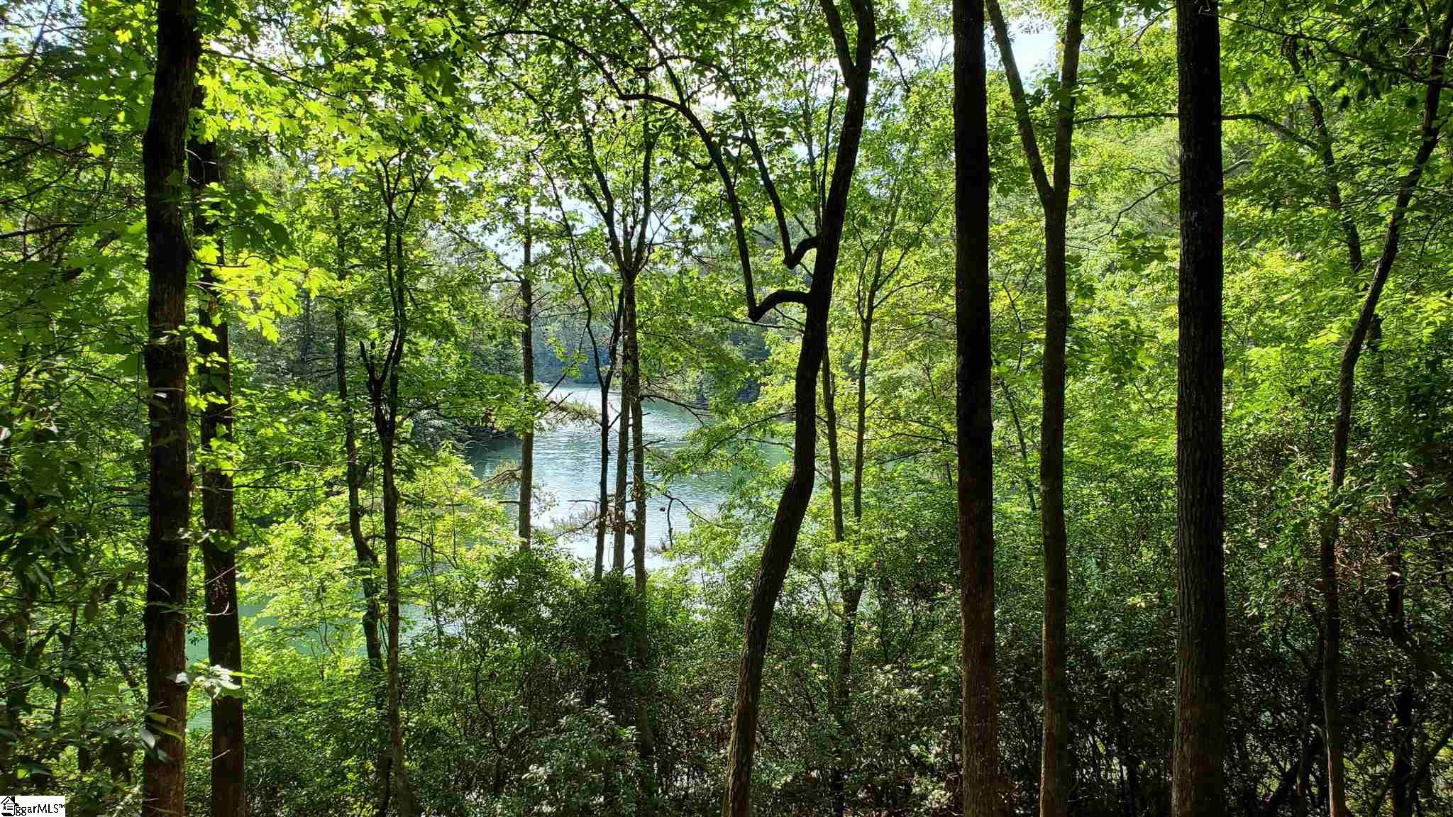 Old Chapman Bridge Road Salem, SC 29676 - Photo 10 of 12 Gallery Image 10