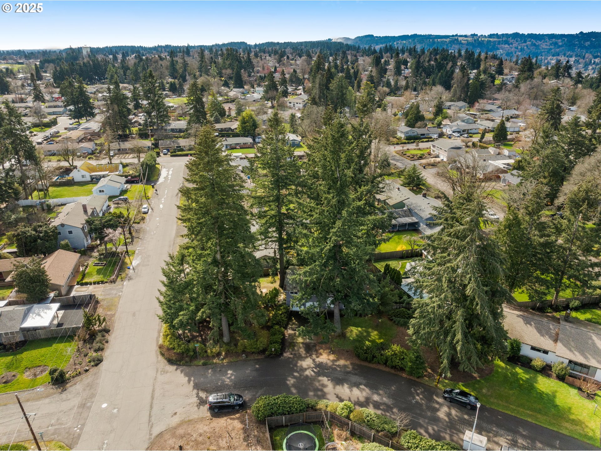303 Cherry Avenue Oregon City, OR 97045 - Photo 27 of 30 a view of a city
