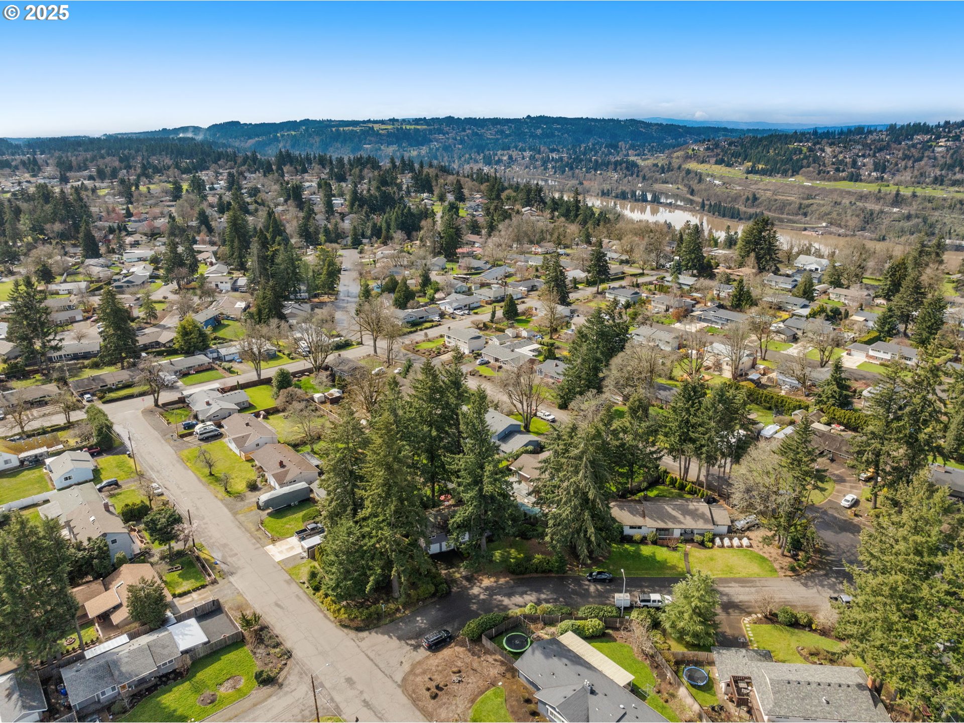 303 Cherry Avenue Oregon City, OR 97045 - Photo 29 of 30 an aerial view of residential building with parking space