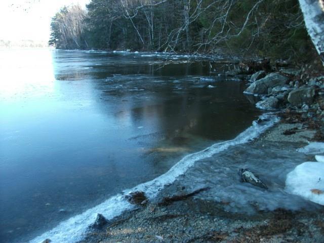 200 Newbury Neck Road Surry, ME 04684 - Photo 11 of 13 Photo