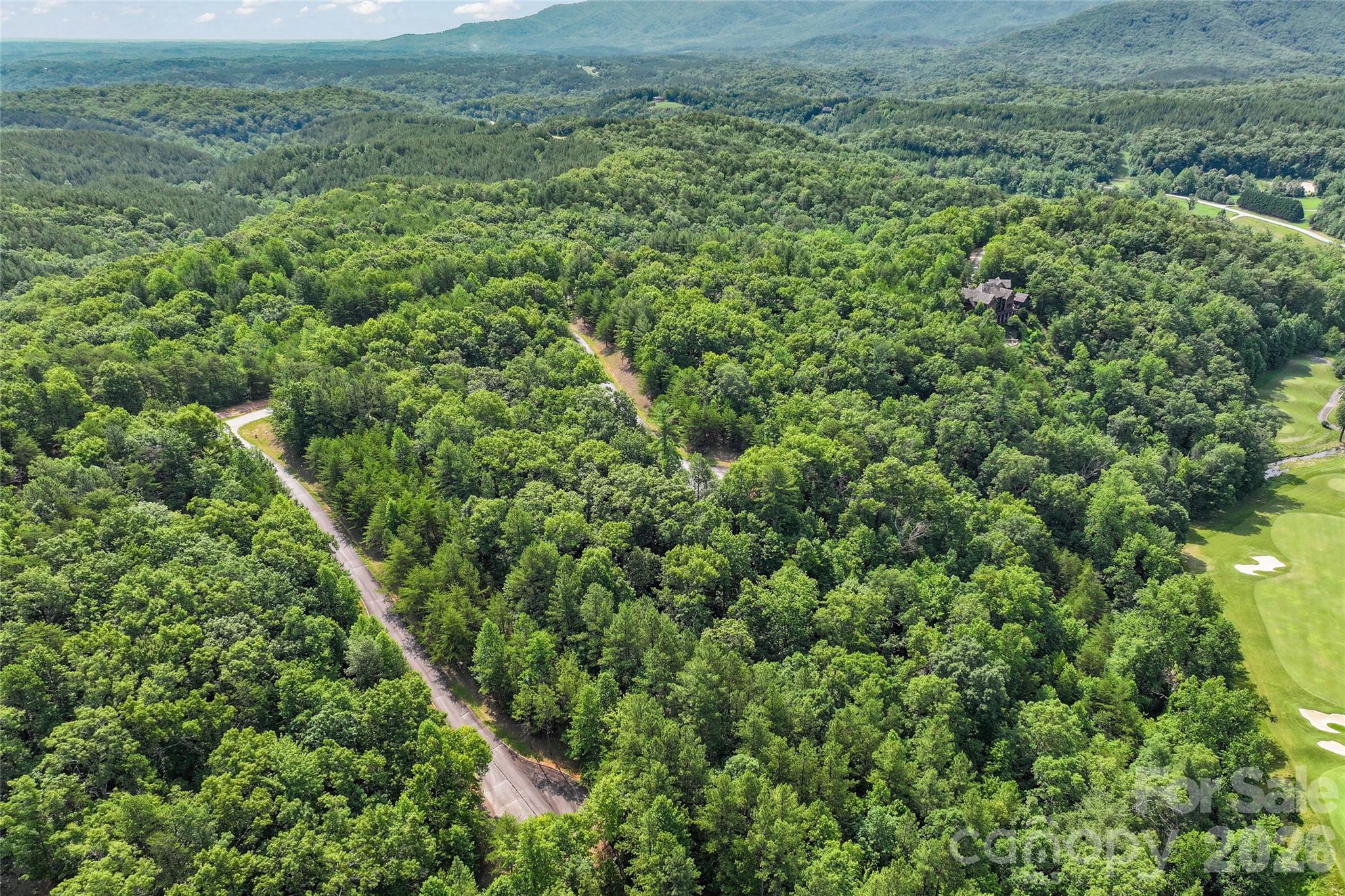 Lot 24 Monteith Pl Mill Spring Mill Spring, NC 28756 - Photo 14 of 24